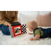 Manhattan Toys Wimmer Peek & Go Mirror (0+)