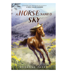 Greenwillow Books A Horse Named Sky - Rosanne Parry (8+)