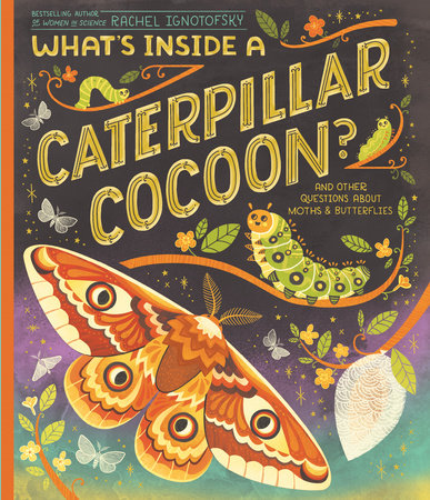 What's Inside A Caterpillar Cocoon? - Rachel Ignotofsky (4+)