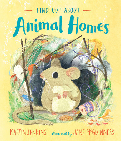 Find Out About Animal Homes by Martin Jenkins (ages 3-7)