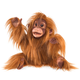 Folkmanis Orangutan Puppet