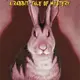 Yoto Bunnicula by Deborah and James Howe Yoto Audio Card (ages 8+)