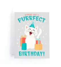 Pedaller Designs Wishing You A Purrfect Birthday!