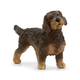 Schleich Wire-haired Dachsund 13972