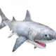 Folkmanis Great White Shark Puppet