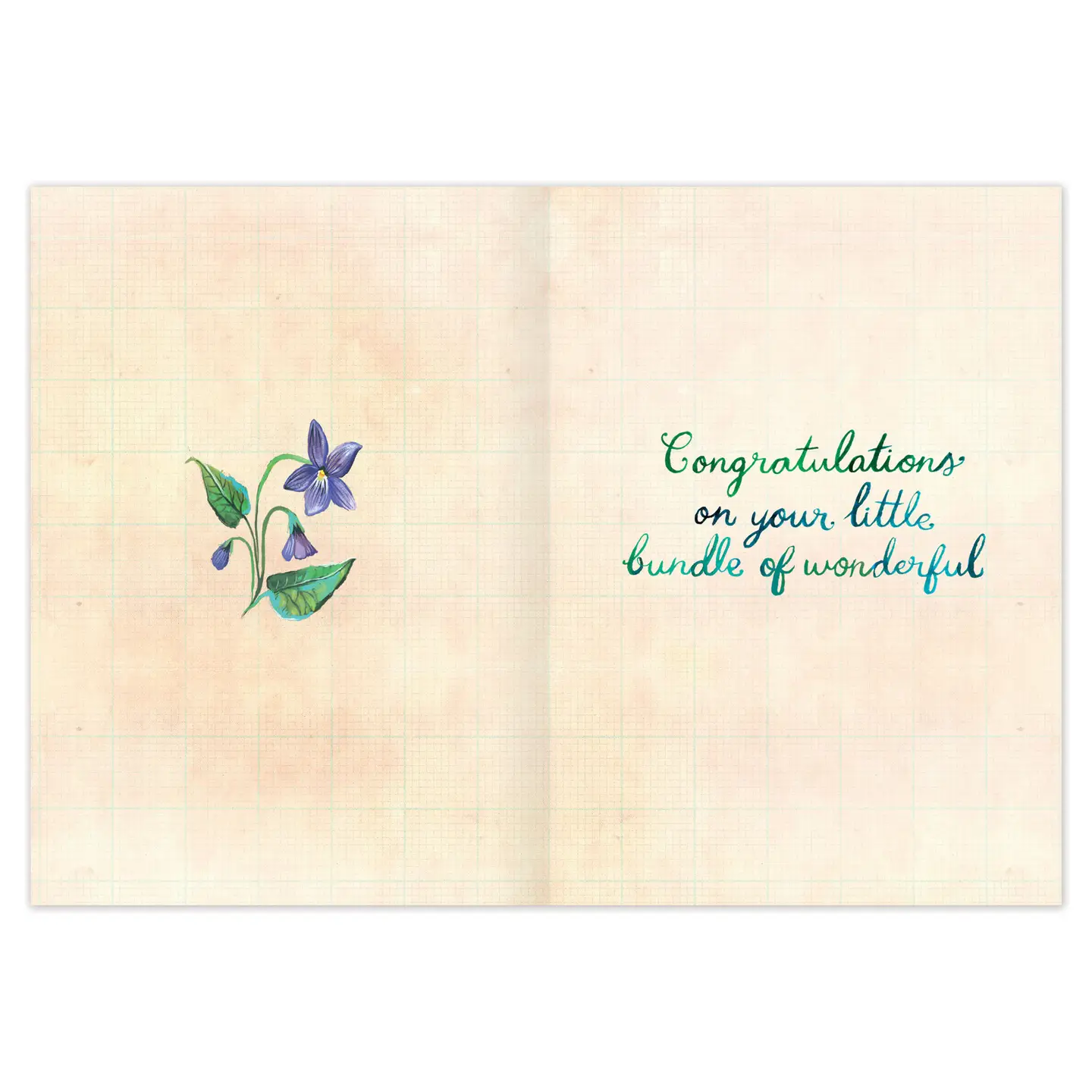 Biely & Shoaf Garden Welcome Sweet Baby card