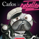 Editions Scholastic Carlos le rebelle d'Aaron Blabey (3 à 8 ans)