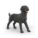 Schleich Black Labrador, female 14923