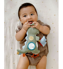 itzy ritzy Bitzy Traveler Developmental Sensory Toy (0m+)