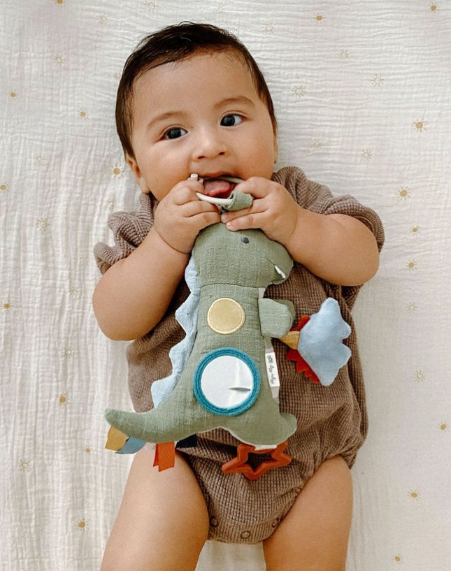 itzy ritzy Bitzy Traveler Developmental Sensory Toy (0m+)