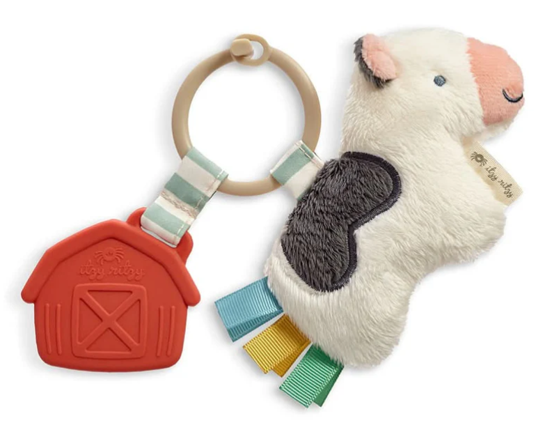 itzy ritzy Itzy Pal Plush + Teether (0m+)