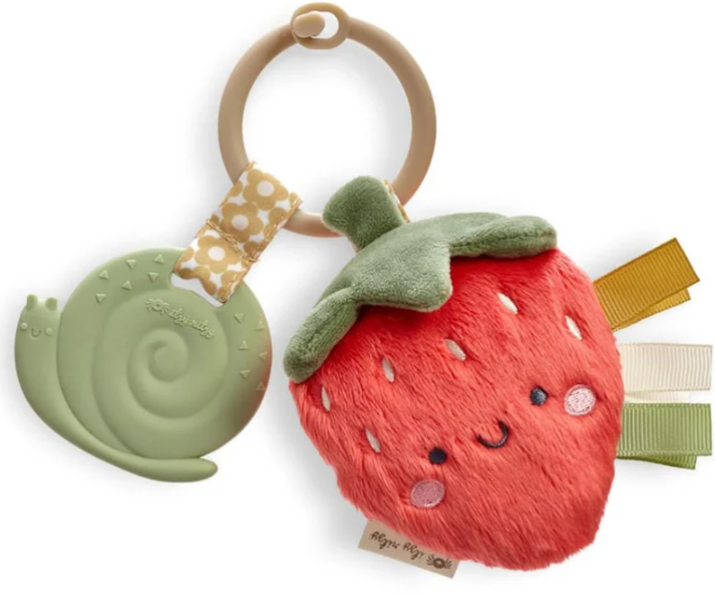 itzy ritzy Itzy Pal Plush + Teether (0m+)