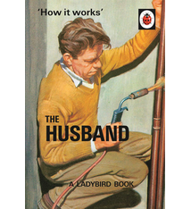 Ladybird Books How it Works: The Husband (Lady Bird Book for grownups)