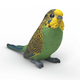 Schleich Budgie 14939