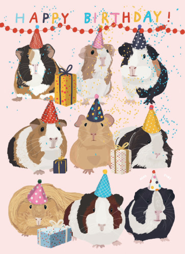 Calypso Cards Happy Birthday (Guinea Pig)