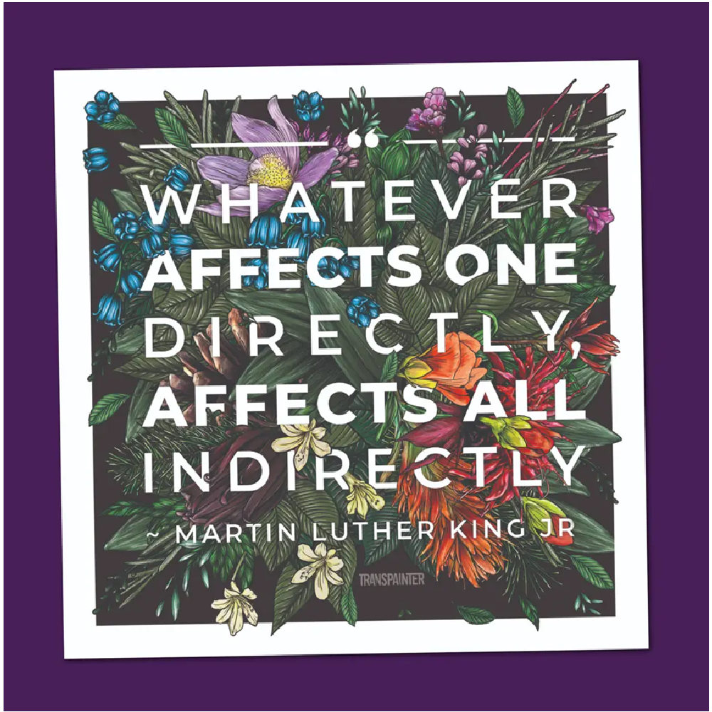 Transpainter Whatever Affects One - Martin Luther King quote  sticker