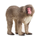 Schleich Japanese Macaque 14871
