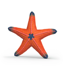 Schleich Starfish with color change 14902