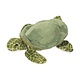 Douglas Tillie TURTLE