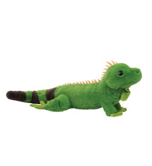 Douglas Buddie Iguana