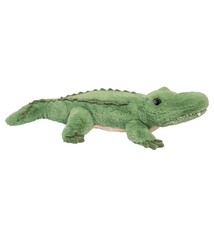 Douglas Snappy Alligator