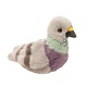 Douglas Douglas Birds