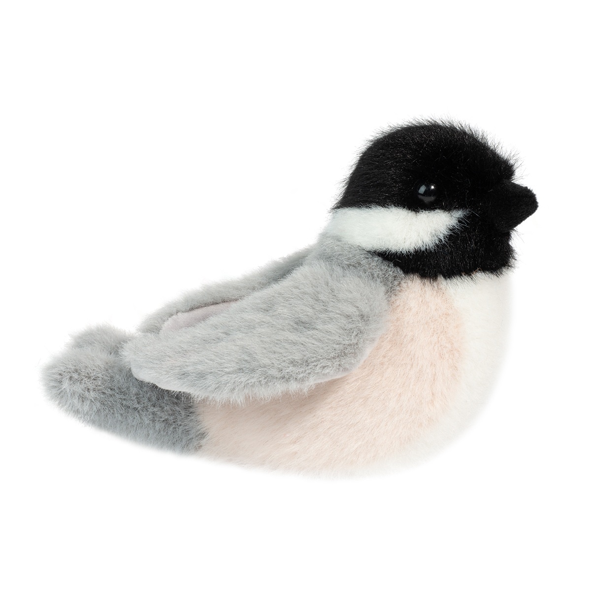 Douglas Douglas Birds