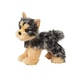 Douglas Yonkers YORKIE