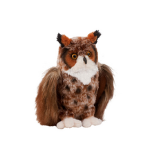Douglas Einstein Great Horned Owl