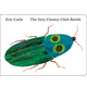 Penguin Randomhouse The Very Clumsy Click Beetle - Eric Carle (0+)