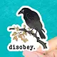 Radical Buttons Disobey (crow) sticker