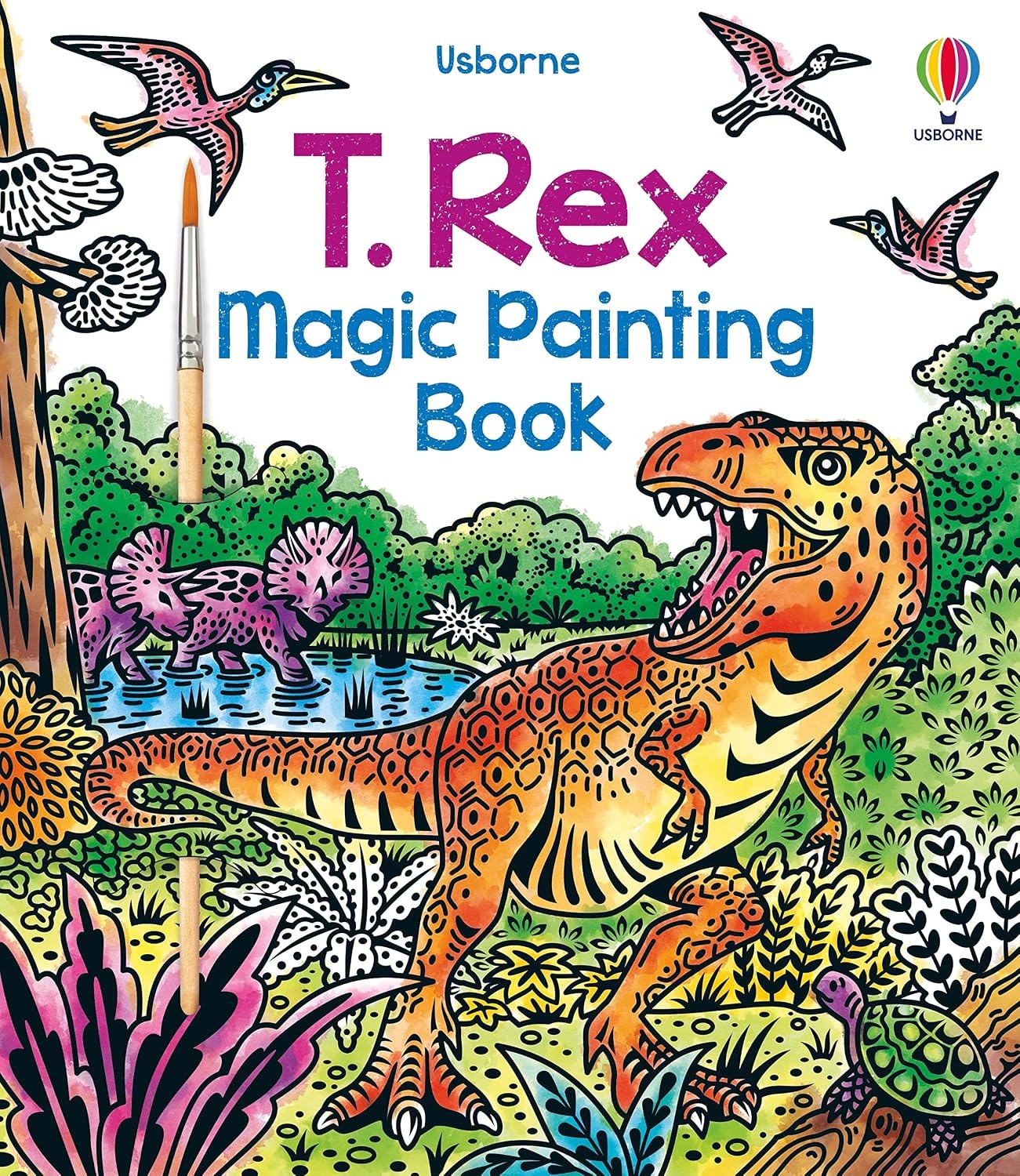 Usborne Magic Painting Book