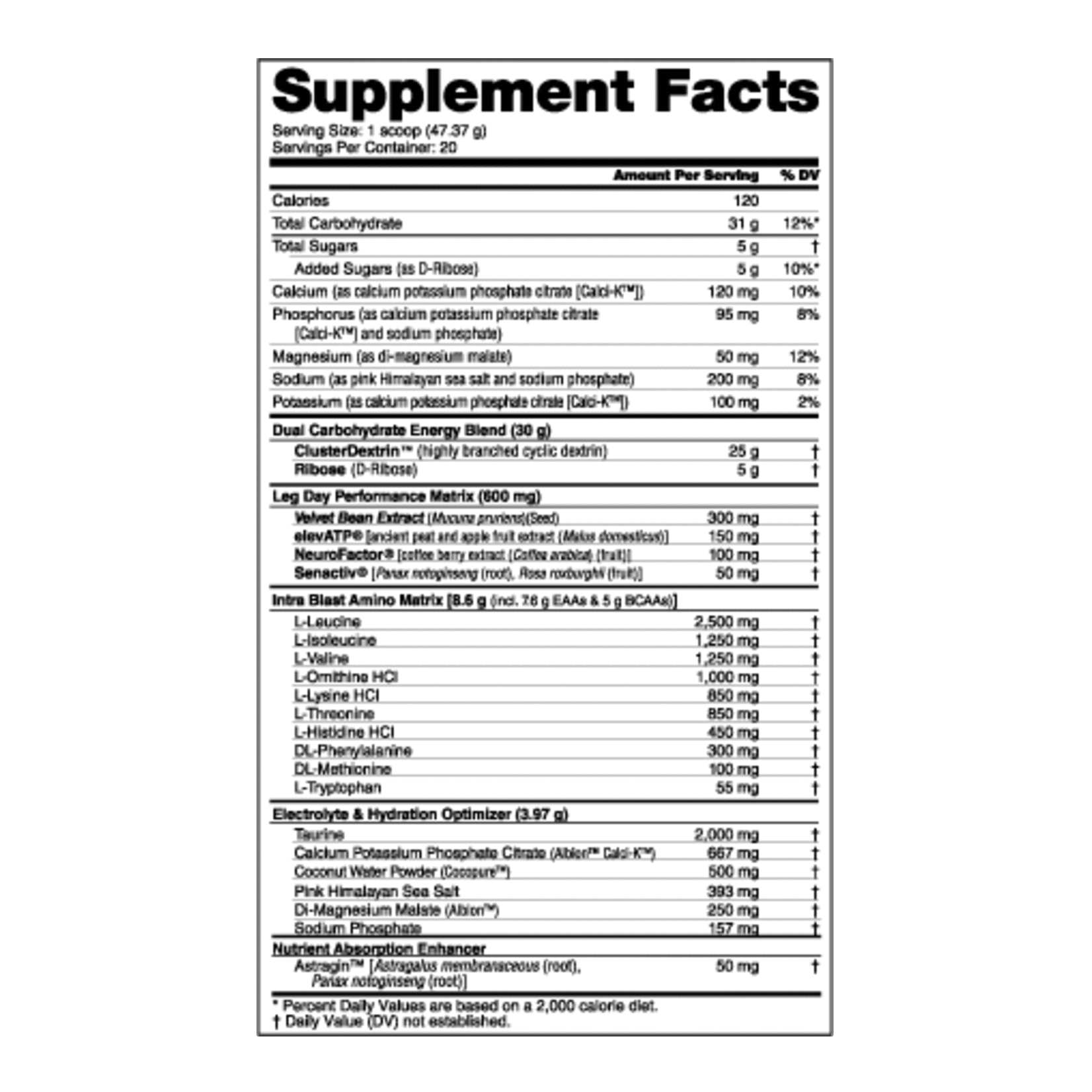 NutraBio Leg Day