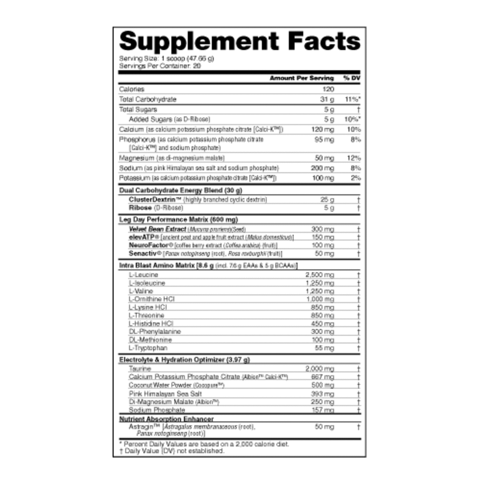 NutraBio Leg Day