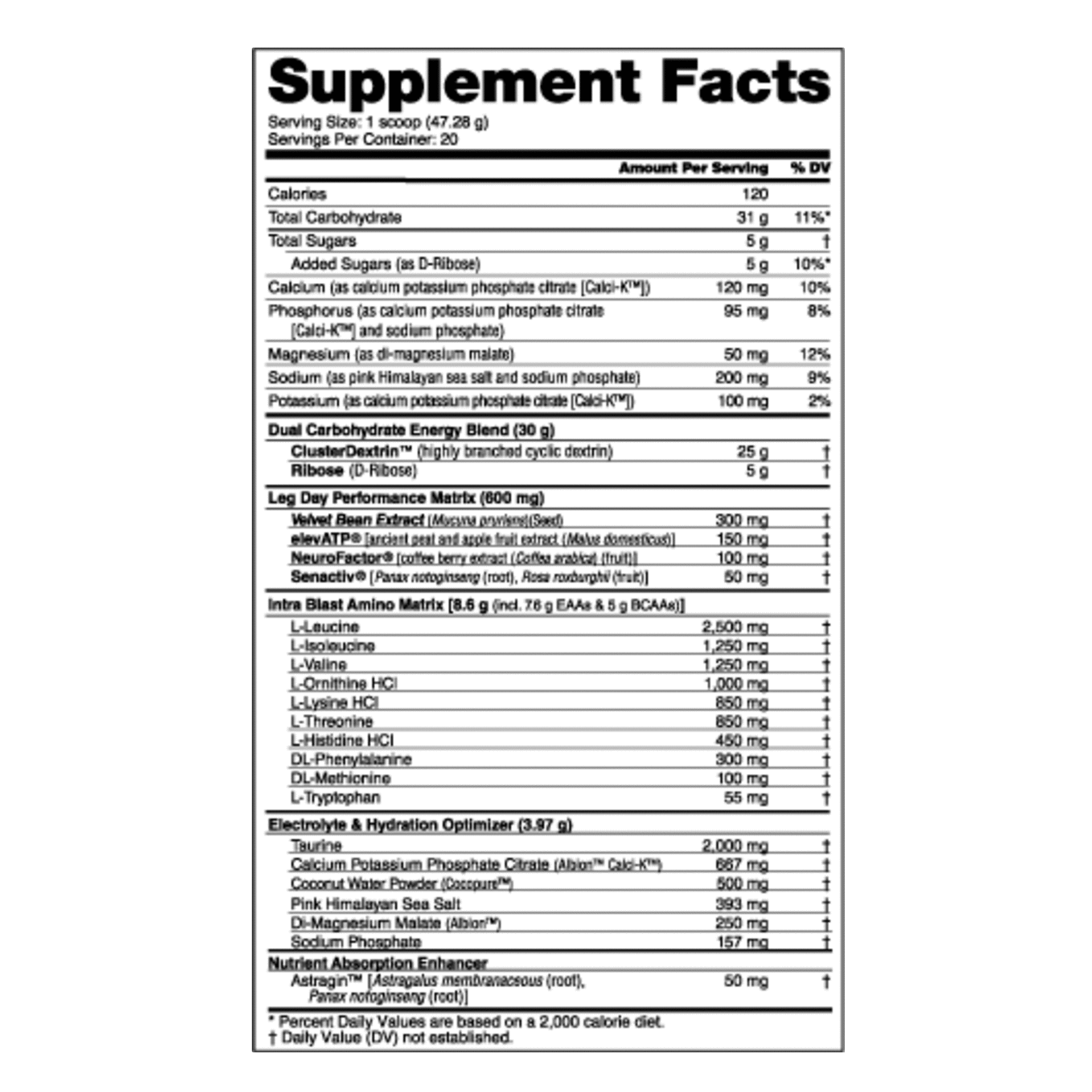 NutraBio Leg Day