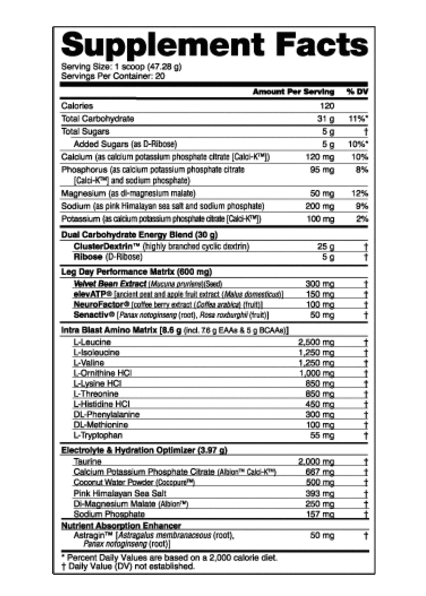 NutraBio Leg Day