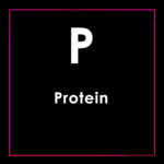 Protein