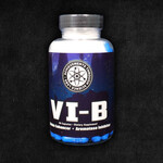 ATS Labs Vi-B