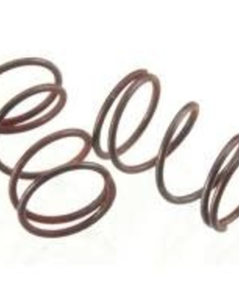 RJ speed RJS5228 Legends Front Springs (2)