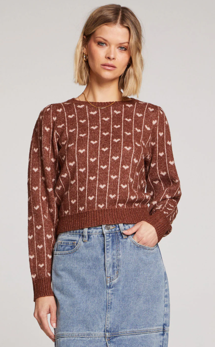 Saltwater Luxe Elima Sweater