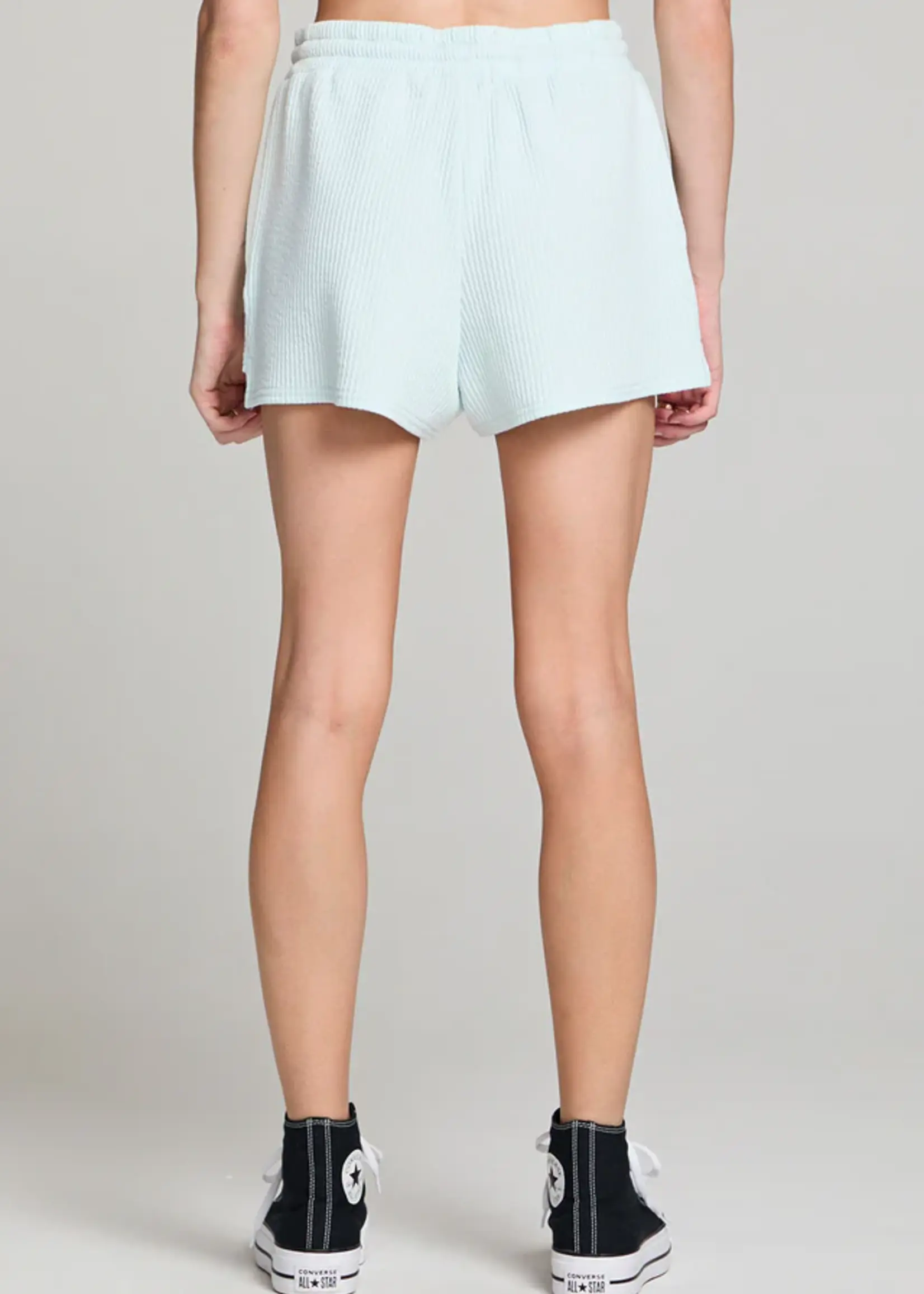 Saltwater Luxe Pull On Shorts