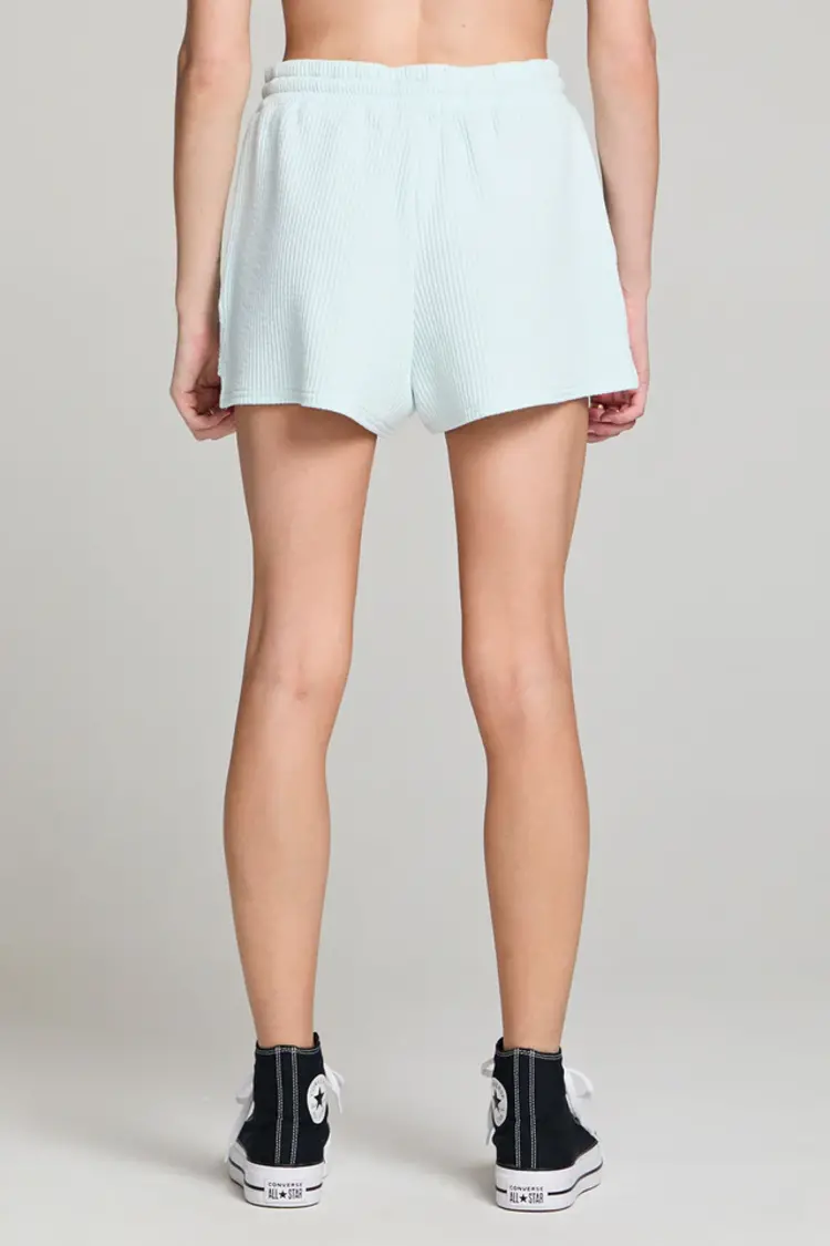 Saltwater Luxe Pull On Shorts