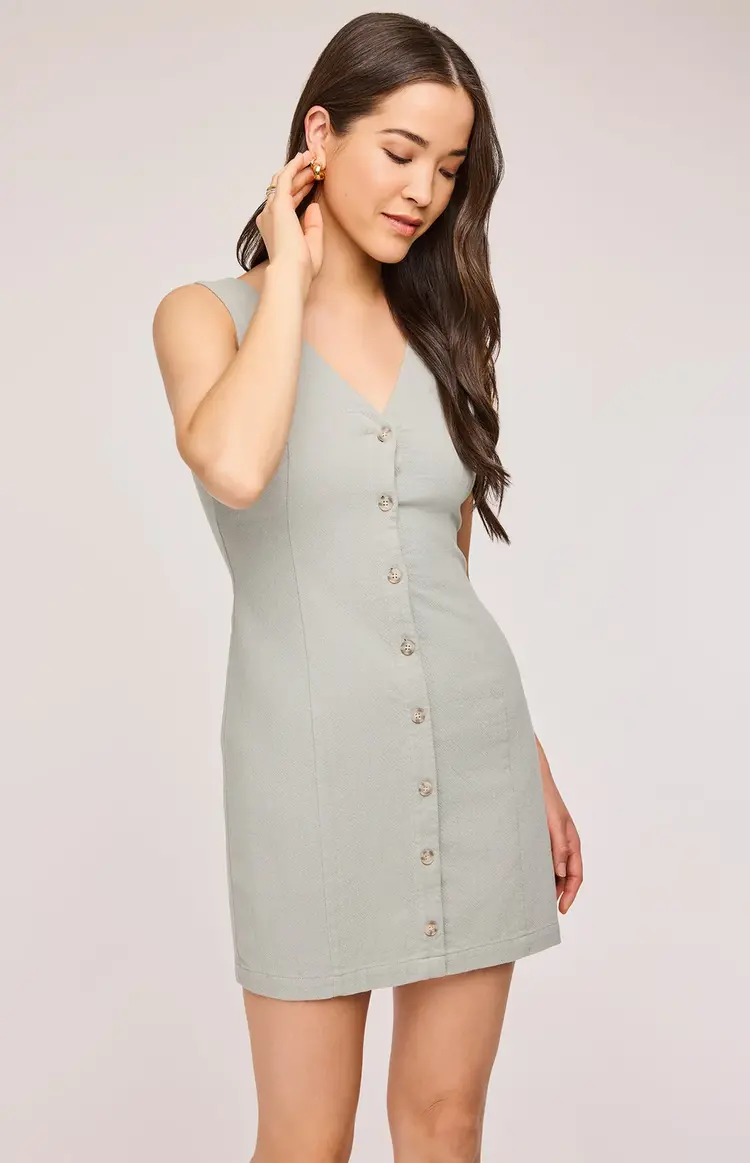 Gentle Fawn Sammy Mini Dress