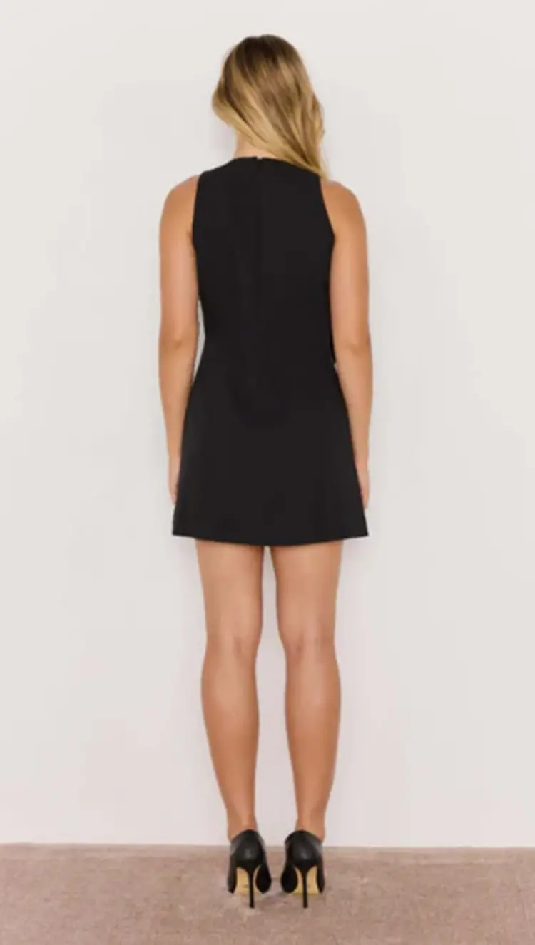 Mink Pink Romy Bow Front Mini Dress