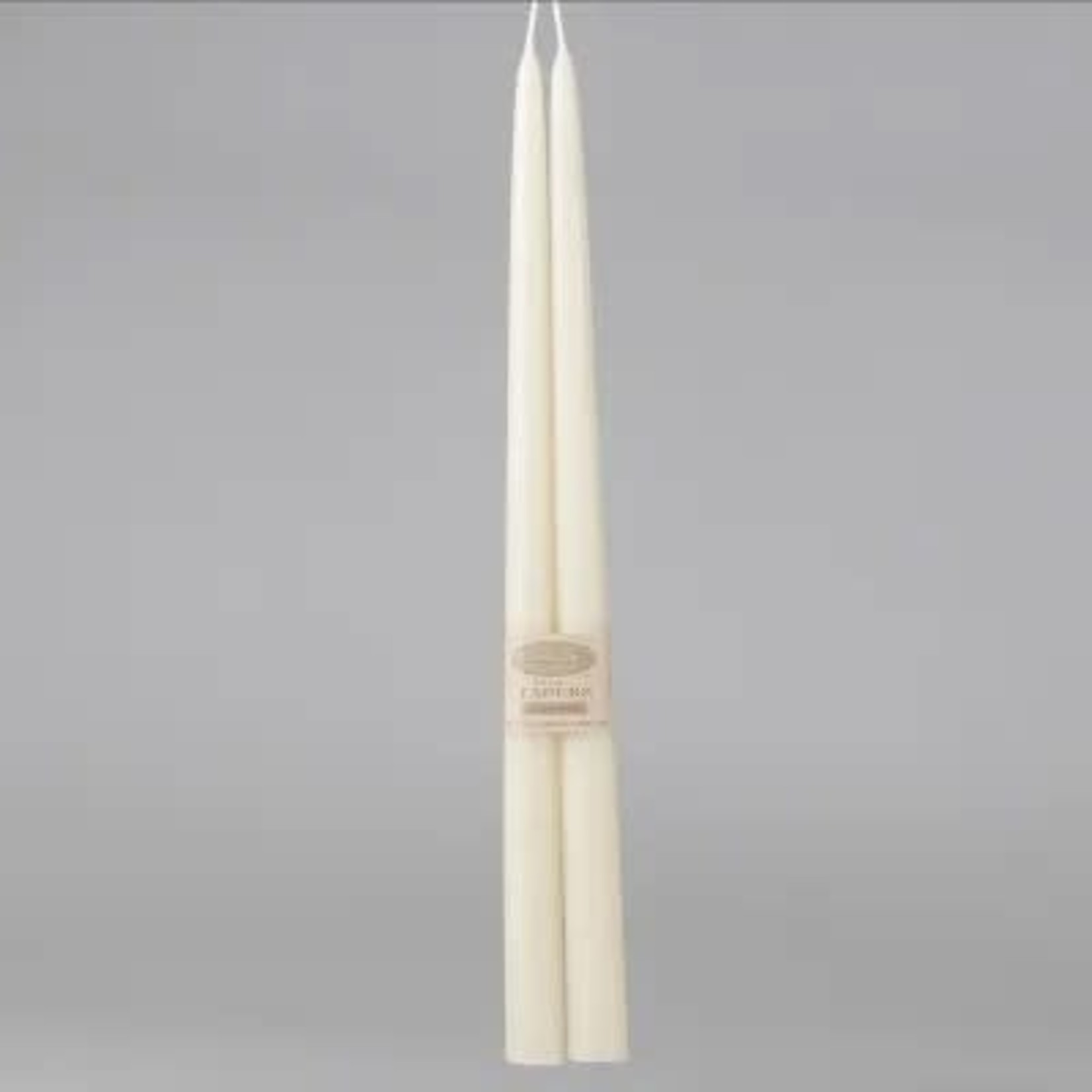 Cheeky Bee Candles 16" Ivory Taper