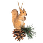 Abbott Squirrel on Pine