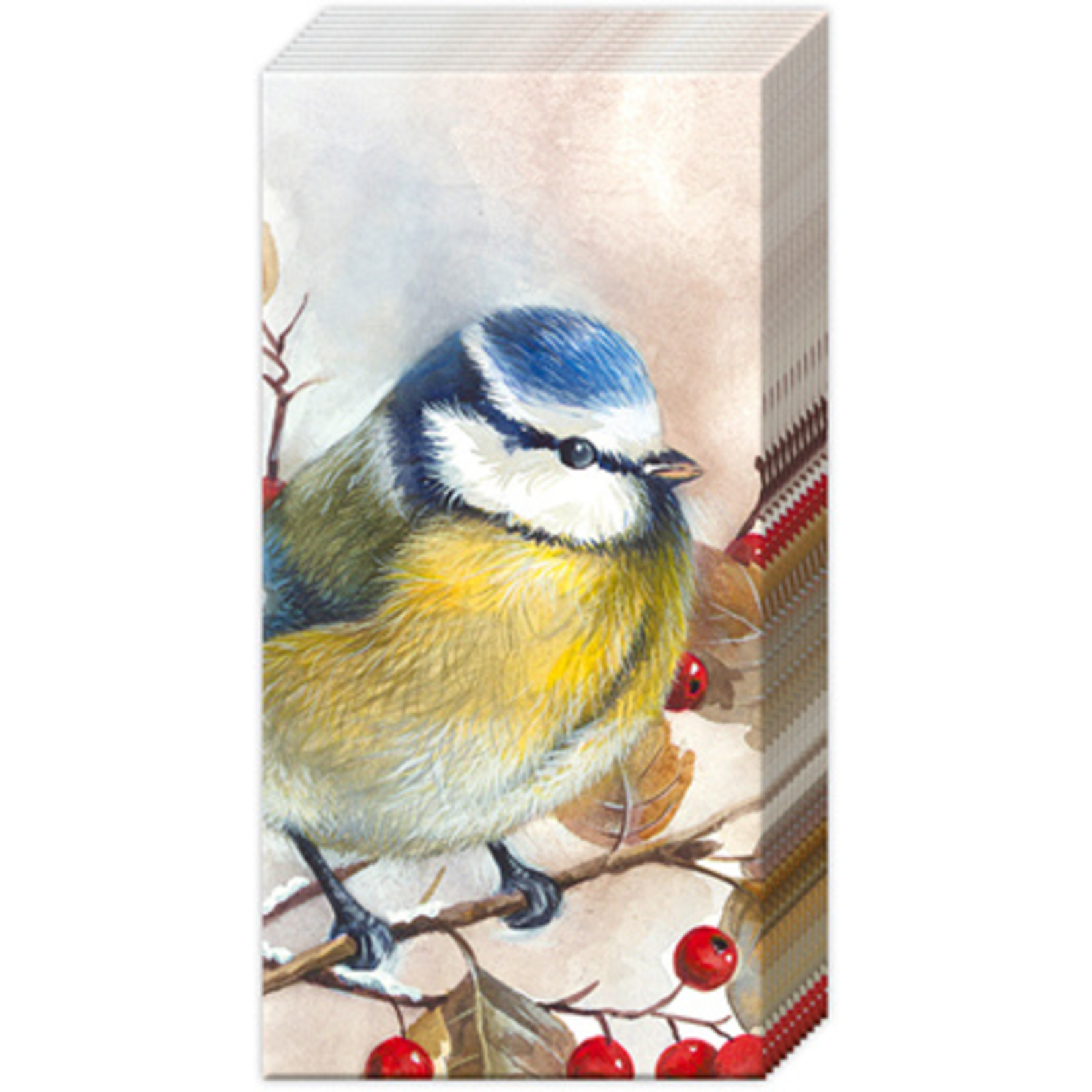 Boston International Pocket Tissue Sweet Little Bird