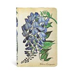 Paperblanks Journals Blooming Wisteria Mini Lined