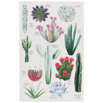 Danica Tea Towel Botanical Cacti
