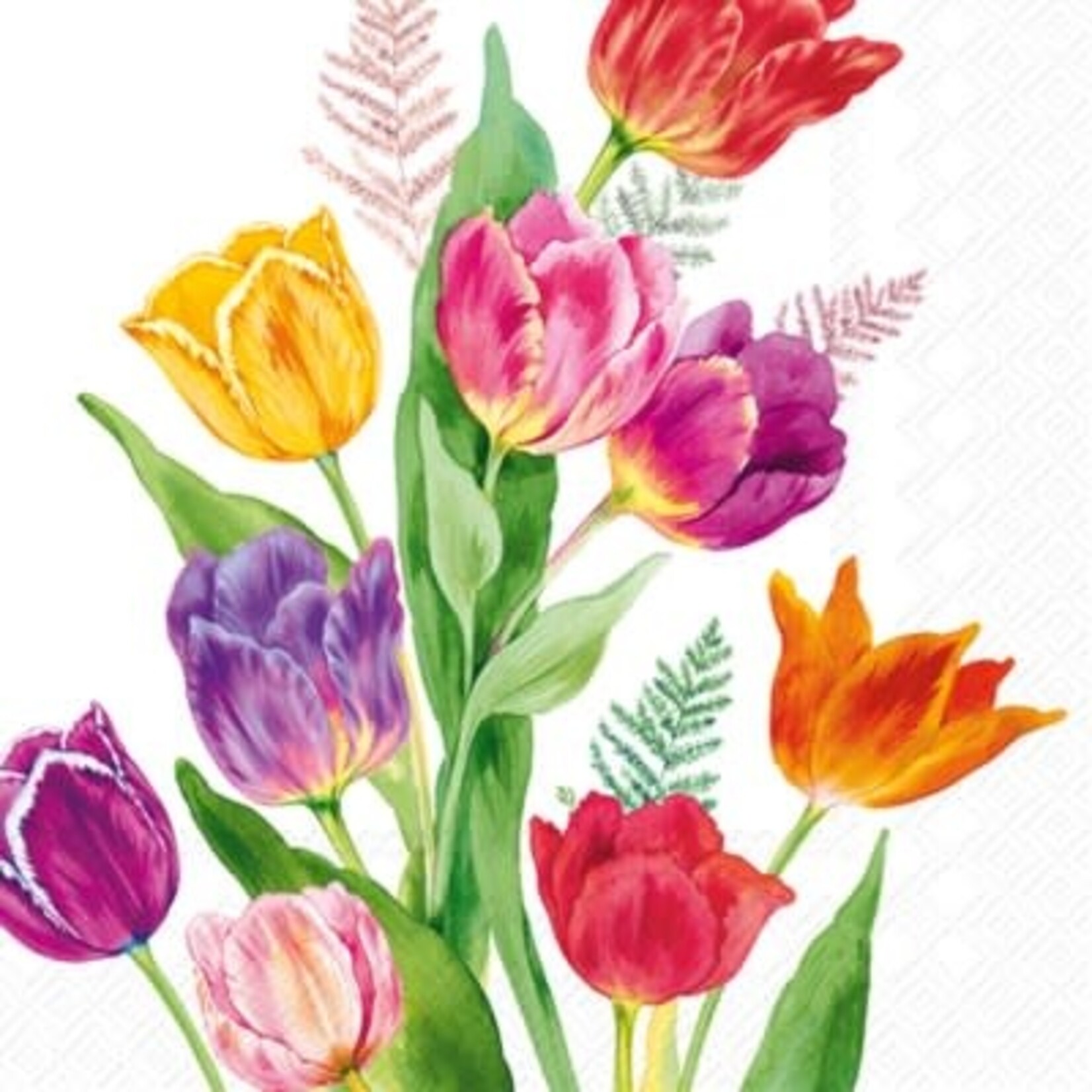 IHR Bright Tulips Cocktail Napkin